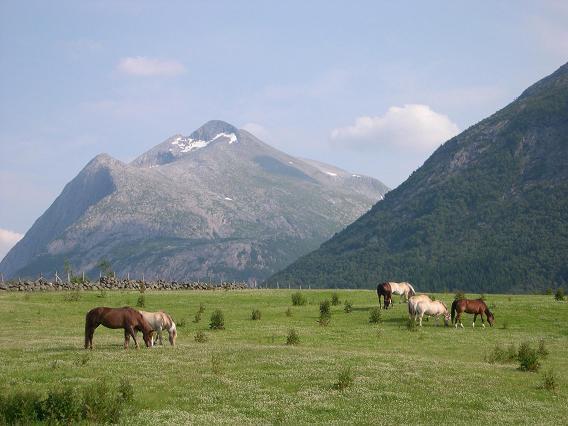 Donhaug Gjestegard Uskedalen Exterior photo